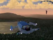 bluebird.jpg