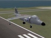 harrier.jpg