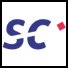 Science + Computing AG logo