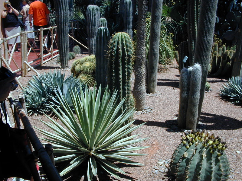 click image to load singular slide #284