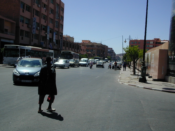 click image to load singular slide #305