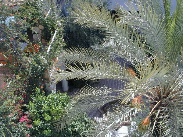 click image to load singular slide #341