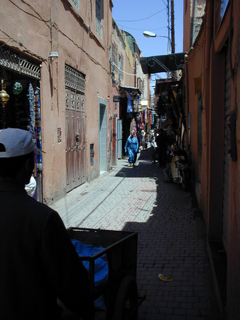 click image to load singular slide #351