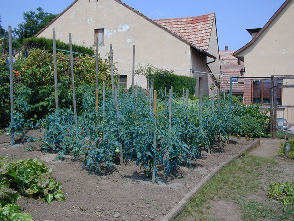 click image to load singular slide #390