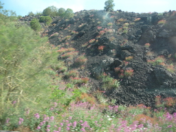 P1020421.JPG 3456x2592 index 23