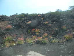 P1020424.JPG 3456x2592 index 25