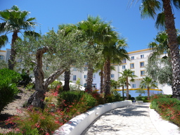 P1020546.JPG 3456x2592 index 91