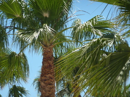 P1020547.JPG 3456x2592 index 92